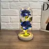 Adorno de Cúpula de Cristal con Luz de Doble Rosa Preservada, Decoración de Regalo para el Día de San Valentín, Venta al por Mayor desde el Fabricante