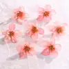 Flores Artificiales, Accesorios para Fotografía de Bodas, Accesorios para el Cabello Hechos a Mano para DIY, Materiales Decorativos para Caja de Flores de Amazon