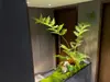 Plantas Verdes Arce Artificial Paisajismo Arce Japonés Villa Patio Sala de Té Escaparate Plantas de Paisajismo Decoración Adornos