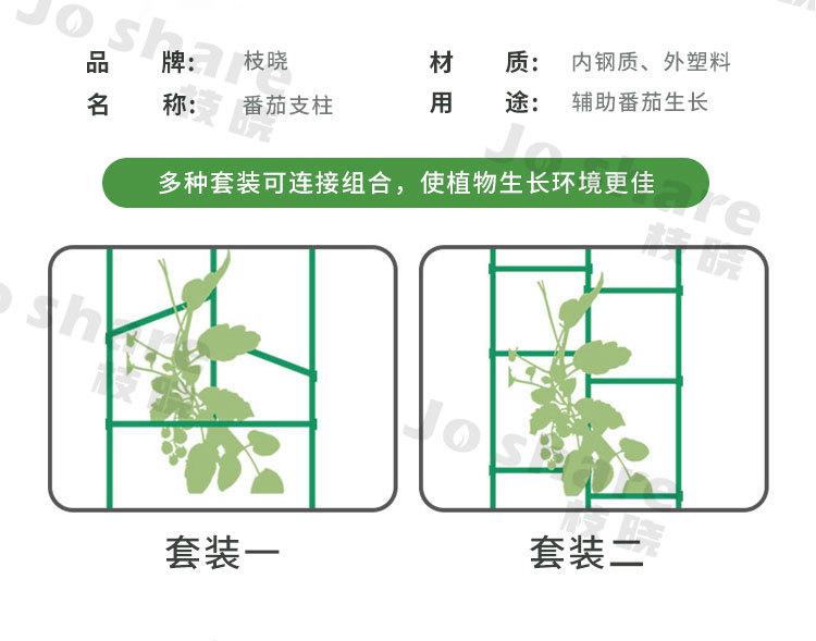 番茄支柱(1688)_11.jpg