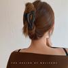 Pinza pequeña de estilo coreano para el pelo con pinza sencilla que combina con todo, pinza para el pelo de tiburón en espiral con parte posterior esmerilada para mujer