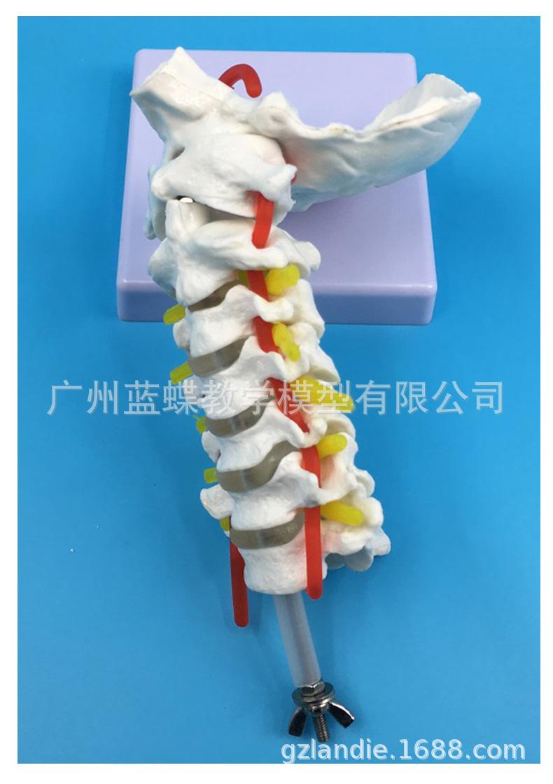 详情_08.jpg