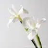Íris Simulada Elegante Estilo Monet Arranjo de Flores Artificiais para Casamento Adereços Celebridade da Internet Criativa Decoração de Vitrine Flores Artificiais Simuladas