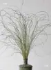 Flores Verdes Eternas, Atmosfera de Primavera, Buquês para Loja, Decoração de Roupas Femininas, Materiais Florais de Galhos Secos, Cena de Arranjo Floral para Recepção