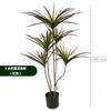 Planta de Simulação em Vaso Árvore de Ferro Árvore Sangue de Dragão Madeira Milenar de Simulação Piso da Sala de Estar Vento Nórdico Paisagem de Árvore de Simulação Plantas Verdes