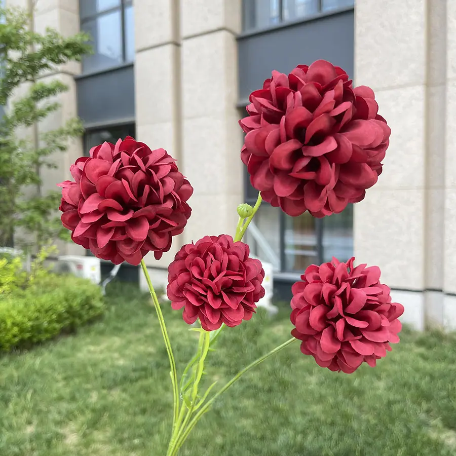 4头高枝芙蓉球-wxzjgx-红色.JPG