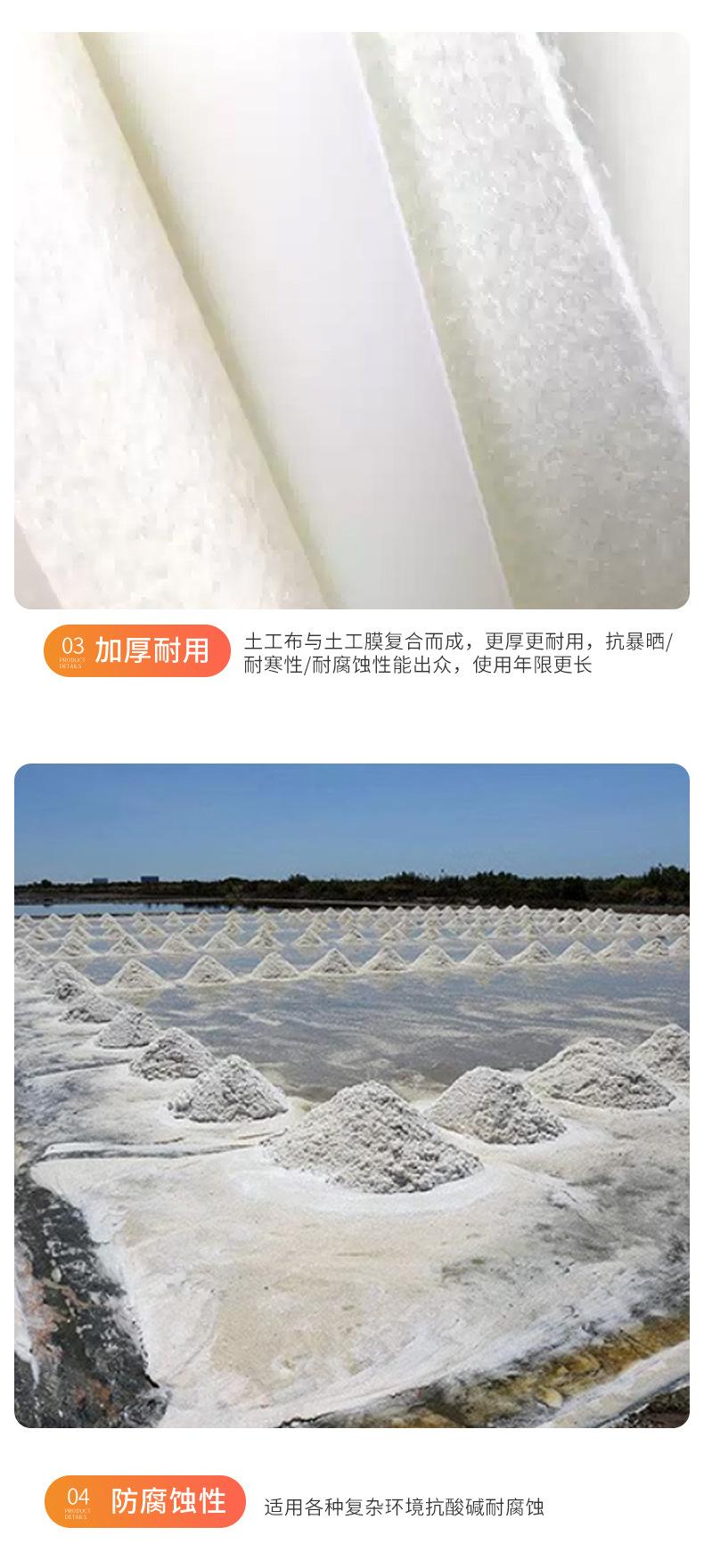 复合膜_04.jpg