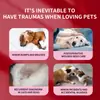 Spray cicatrizante externo para perros y gatos, para heridas en la piel, mordeduras interdigitales, lesiones de mascotas, al por mayor