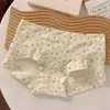 Calzoncillos tipo bóxer para mujer 100% algodón Nuevo estilo 2025 Todo algodón Antibacteriano Entrepierna extendida Cintura media Tallas grandes Calzoncillos tipo bóxer para niñas