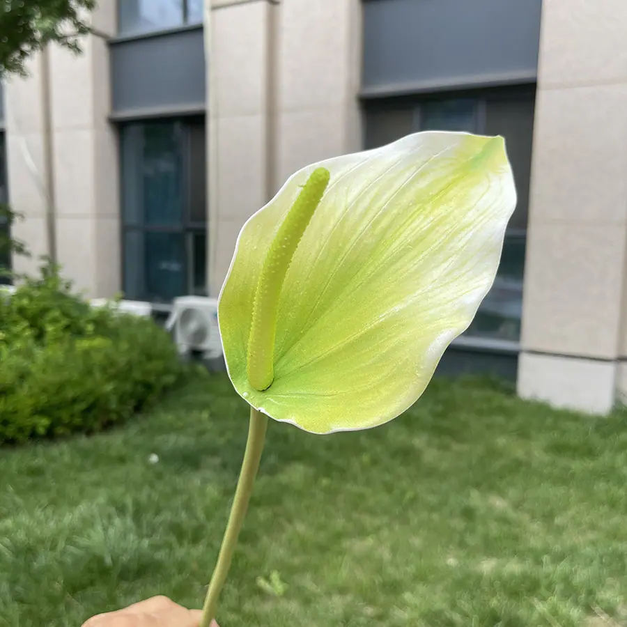 单支3D打印EVA鲁米那掌-xjmlkx 1#白绿.JPG