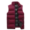 Chaleco Acolchado Ligero de Algodón para Hombre Primavera Otoño e Invierno Chaleco para Vestir por Fuera Chaleco Cálido sin Mangas Chaleco de Hombre Estilo Masculino