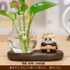 Decoração de Casa Estilo Chinês Panda Rabanete Verde Vaso Hidropônico Arranjo de Flores Vidraria Decoração de Mesa Vaso de Planta Presente
