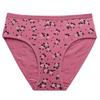 Comércio Exterior Triângulo Russo Calcinhas Estampadas Femininas Roupa Íntima Feminina Europeia e Americana Transfronteiriça Estilo Quente Venda Direta de Fábrica