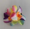Novo Prendedor de Cabelo Duplo de Orquídea Acessório de Cabelo Boêmio para Férias na Praia Ornamento de Cabelo Europeu e Americano para Noivas Prendedor de Cabelo Twoi