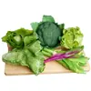 Simulación Hortaliza Verde Corazón Hoja Fruta Modelo de Comida Decoración de Cocina Adornos Cadena para Colgar Boceto Fotográfico Accesorios de Juego
