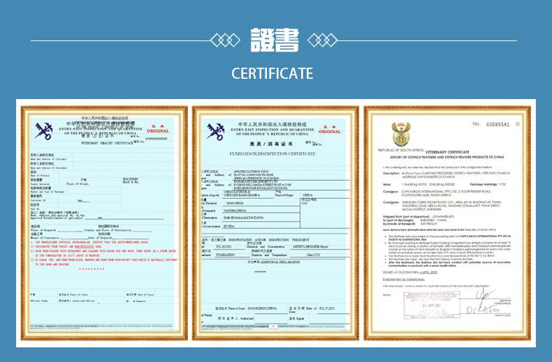 07-详情页--证书