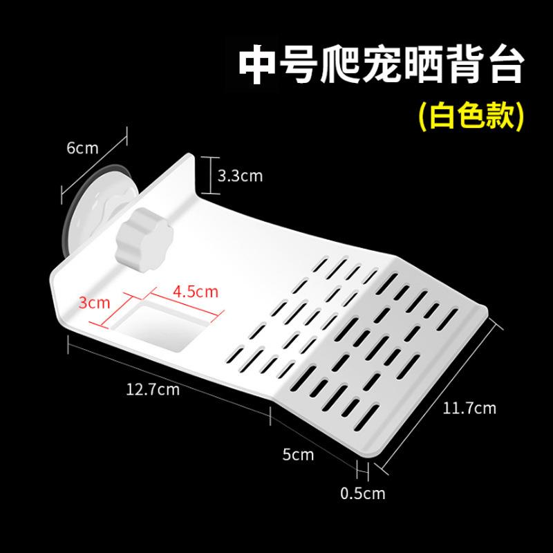 中白.jpg