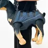 Asistente para Patas Traseras de Perro con Mascotas Perros Mayores Perros Discapacitados Perros Mayores Lesiones Débiles Asistencia para Salir con Correa de Tracción