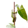 Acompañante para el crecimiento de plantas hidropónicas para enderezar y sostener ramas, decoración de escritorio de oficina, figura de forma fija para soporte de plantas hidropónicas