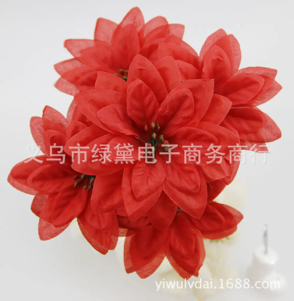 圣诞花