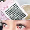 Cílios Postiços Comércio Exterior Mais Vendidos WM34 Kit com Cola Raiz por Raiz Estilo Denso Transparente Artefato para Olhos Grandes