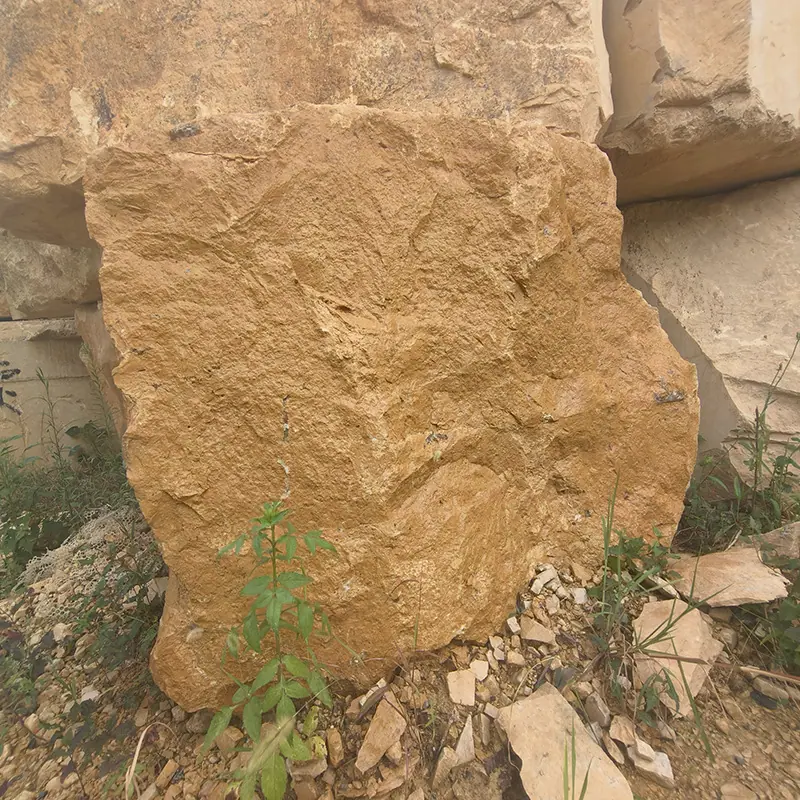 529f5ed3-0809-4bce-9522-054e50