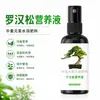 Solución Nutricional Especial para Fertilizante de Armonia, Pino Taishan, Pino de Osaka y Pino Ornamental Bonsái, Fertilizante Líquido Universal para el Cuidado de Árboles