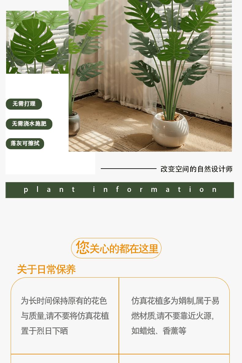 龟背-详情_07.png
