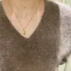 Popular Collar de Concha de Zirconia Dorada de Xiaohongshu para Mujer, Cadena para Clavícula Versátil de Lujo Ligero de Nicho Tendencia
