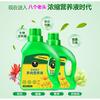 Solución Nutritiva Especial para Suculentas para Florales y Plantas en Maceta Solución Nutritiva Universal Fertilizante Punto Venta al por Mayor Enraizamiento