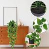 Planta Trepadeira Mandala de Eucalipto Decorativa Pendurada na Parede Folhagem Verde Folha de Eucalipto Planta em Vaso