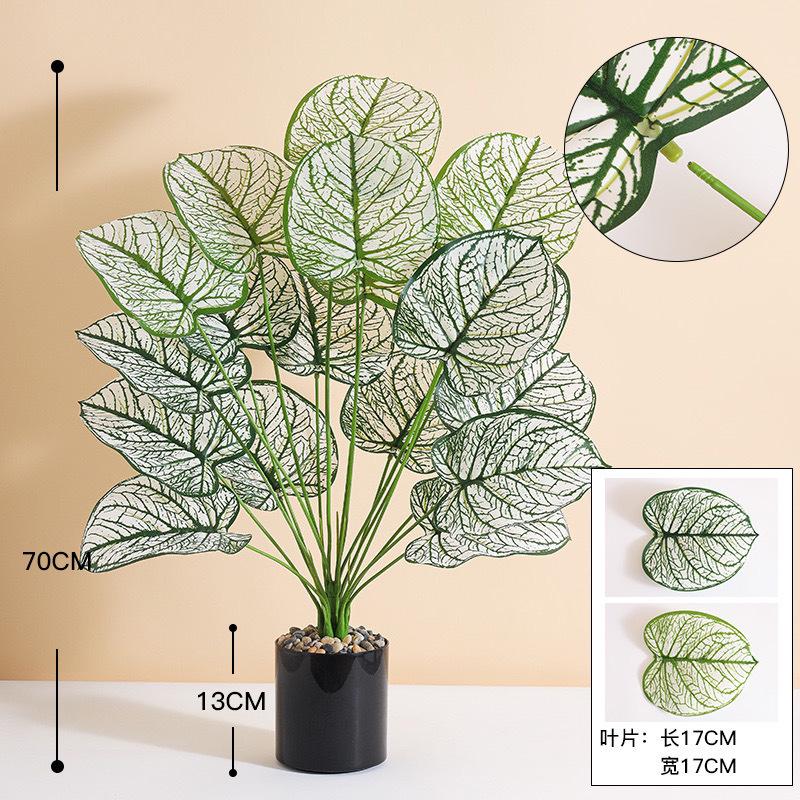 7df9564a-0db9-40e5-bd48-83a87e164d52.jpe