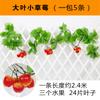 Ratán de Fruta Simulada, Flores Artificiales, Hojas de Uva, Enredaderas, Decoración de Techo, Enredaderas de Flores de Plástico, Hojas Verdes, Hojas de Árbol Enredadas en Restaurantes