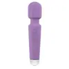 Popular de Forma Especial Transfronterizo para Mujeres, Palo de Masaje Diagonal con Vibración Fuerte, Palo de Masturbación de Orgasmo Instantáneo, Juguetes Sexuales para Mujeres