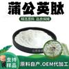 Extracto en Polvo de Péptidos de Diente de León, Materia Prima de Grado Alimenticio, Polvo Soluble en Agua, Alimento y Medicina del Mismo Origen, En Stock, Péptidos de Molécula Pequeña, Envío Gratis