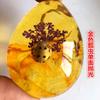 Colgante de Ámbar con Espécimen de Insecto Real Ámbar Insecto Gota de Agua con Forma de Insecto Escorpión Mariposa Abeja Flor Ámbar Transmisión en Vivo Venta al por Mayor