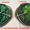 Cesta de protección para peces de doble anilla de acero inoxidable plegable, equipo de pesca al por mayor, bolsa de protección para peces, ...