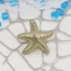 Botões de Pressão Metálicos Estrela 21mm Versáteis para Tops e Jaquetas Botões de Pressão Acessórios de Vestuário Botões de Pressão Atacado
