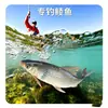 Cebo Especial para la Pesca Deportiva de Carpa Cabezona, Carpa Cabezona Tailandesa y Leche; Cebo Granulado Especial para Carpa Plateada; Cebo y Atrayente para Peces