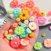 Acessórios de Resina Flor Margarida Colorida Pequena DIY Cola de Creme Capa de Celular Ímã de Geladeira Furo Fivela de Sapato Acessórios para Cabelo