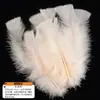 Pluma de cabeza de pavo plana accesorios para ropa accesorios de plumas de pavo para ropa fabricantes al por mayor