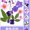 Marcador de Página de Flores Secas Artesanal DIY Material Transparente Espécime Caseiro Cola de Gota Planta Embossada Flor Pasta Frasco para Alunos do Ensino Fundamental