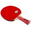 Raquete de Tênis de Mesa Galaxy 01B 02B 03B 04D 06B Borracha Dupla Acabada Raquete de Treino Raquete Reta/Horizontal Raquete Única