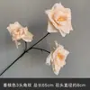 Flores Artificiales de Seda Color Champán para Arreglos Florales, Decoraciones de Pasillo, Arcos, Flores para Techo de Salón de Bodas y Decoraciones de Boda