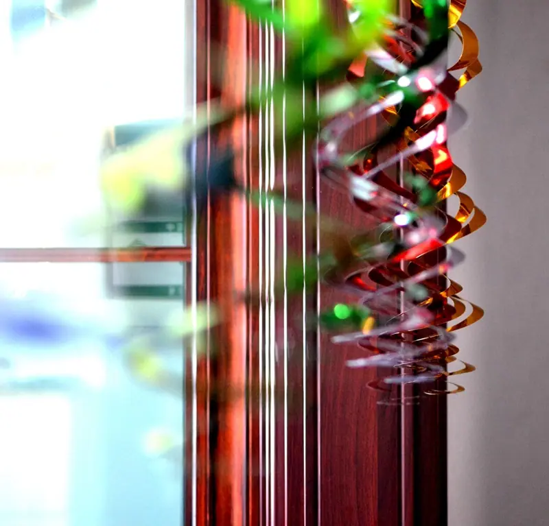 DSC_0523