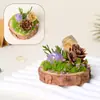 Adorno de musgo eterno para micro-paisaje de cristal con base de madera natural, decoración de cristal natural, piedra bruta de cristal, adorno de racimo de cristal