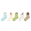 Calcetines para Niños Primavera y Otoño Algodón Puro Calcetines para Niñas Estilo Japonés Lindo Otoño e Invierno Dibujos Animados Calcetines de Caña Media Calcetines de Moda