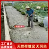 Tierra de Estanque de Loto de Grano Grueso de Alta Calidad para Orquídeas, Flores de Loto y Nenúfares; Tierra para Flores Universal para Plantas Hidropónicas y Cultivo de Nutrición Vegetal