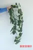 Amazon Hoja Verde Hoja Redonda Eucalipto Hoja de Sauce Enredadera Hiedra Flor Decorativa Transfronterizo Comercio Exterior Flor Artificial