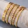 Pulsera Geométrica de Corazón con Diseño de Nicho Ins Pulido Alto Circonita Incrustada Pulsera con Cierre de Lujo Ligero Joyería de Acero Inoxidable